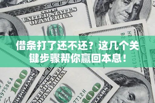 武汉借条打了还不还？这几个关键步骤帮你赢回本息！