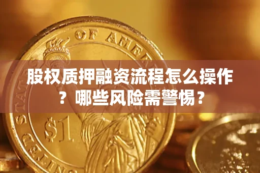 武汉股权质押融资流程怎么操作？哪些风险需警惕？