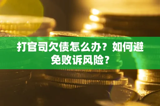 武汉打官司欠债怎么办？如何避免败诉风险？