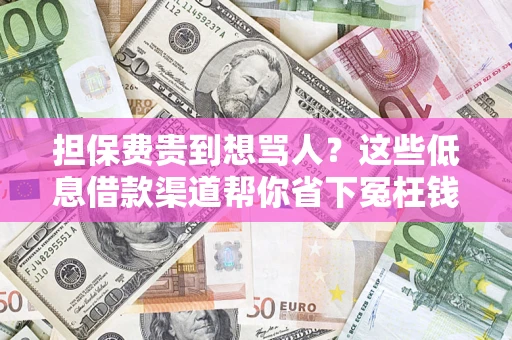 武汉担保费贵到想骂人？这些低息借款渠道帮你省下冤枉钱
