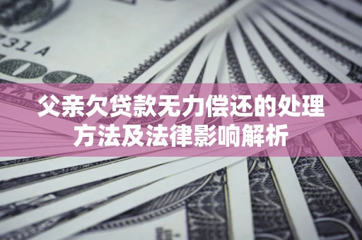 武汉父亲欠贷款无力偿还的处理方法及法律影响解析