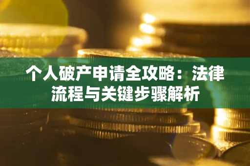 武汉个人破产申请全攻略：法律流程与关键步骤解析